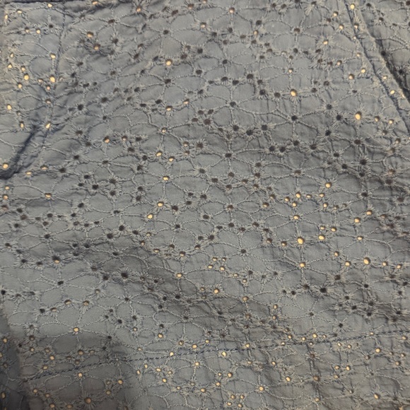 Lilly Pulitzer Blue Eyelet High Waist Shorts - Picture 3 of 4